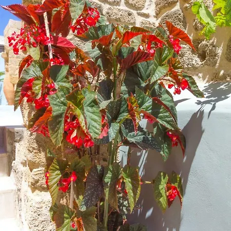 Colours - Old Town - Appartement *